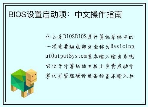 BIOS设置启动项：中文操作指南